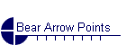 Bear Arrow Points